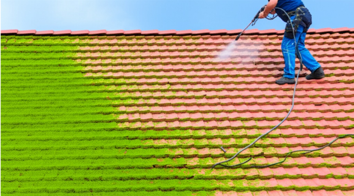 Démoussage de toiture, Honfleur